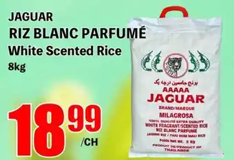 Marche Salaberry JAGUAR RIZ BLANC PARFUMÉ offer