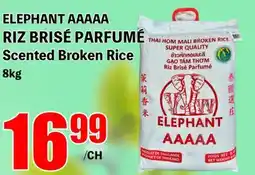 ELEPHANT AAAAA RIZ BRISÉ PARFUMÉ