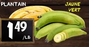 Marche Salaberry Plantain offer