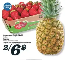 Marché Richelieu GROS ANANAS TROPICAL GOLD | TROPICAL GOLD LARGE PINEAPPLE offer