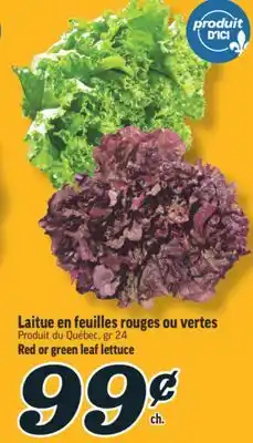 Marché Richelieu LAITUE EN FEUILLES ROUGES OU VERTES | RED OR GREEN LEAF LETTUCE offer
