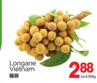 T&T Supermarket LONGANE offer