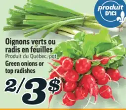 Marché Richelieu OIGNONS VERTS OU RADIS EN FEUILLES | GREEN ONIONS OR TOP RADISHES offer