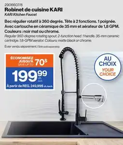 Patrick Morin KARI Kitchen Faucet offer