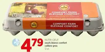 Avril NUTRI-OEUF oeufs blancs confort calibre gros offer