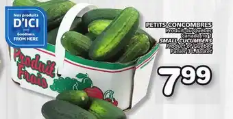 Marches Tradition SMALL CUCUMBERS offer