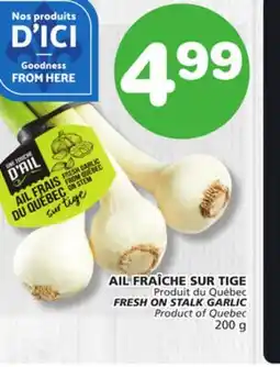 Marches Tradition FRESH ON STALK GARLIC offer