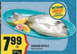 Marché Adonis DAURADE ROYALE | ROYAL SEA BREAM offer