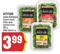 Marché Adonis ATTITUDE Laitue biologique | Organic lettuce offer