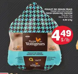 Marché Bonichoix FERME DES VOLTIGEURS FRESH GRAIN-FED CHICKEN offer