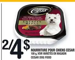 Marche Ami NOURRITURE POUR CHIENS CESAR | CESAR DOG FOOD offer