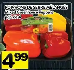 Supermarché PA mixed Greenhouse peppers offer