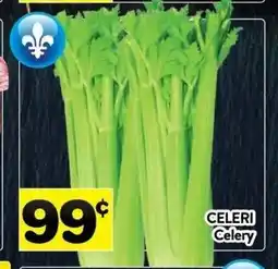 Supermarché PA Celery offer
