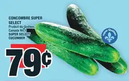 Super C CONCOMBRE SUPER SELECT | SUPER SELECT CUCUMBER offer