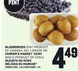 Independent City Market BLEUETS OU KIWI DÉLICES DU MARCHÉ, 600 G offer