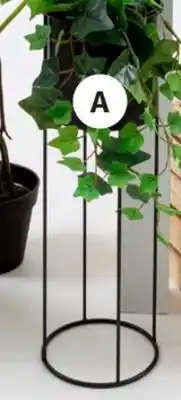 JYSK IVE 77 count leaves Ivy offer