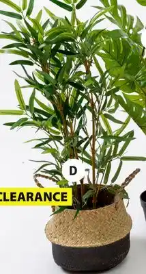 JYSK BALDER 224 count leaves bamboo, 97 cm offer