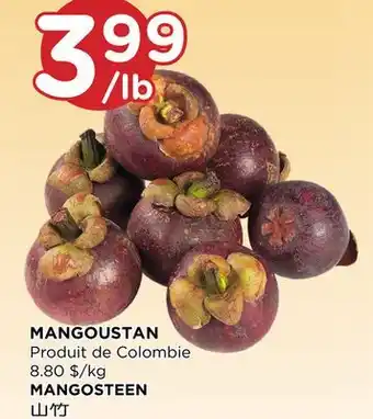 Kim Phat MANGOSTEEN offer