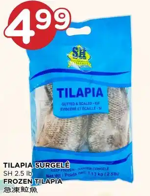 Kim Phat SH FROZEN TILAPIA offer