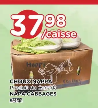 Kim Phat NAPA CABBAGES offer
