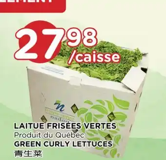 Kim Phat GREEN CURLY LETTUCES offer