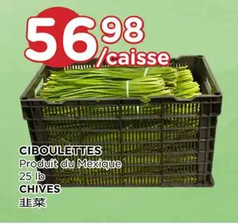 Kim Phat CHIVES offer