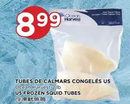 Kim Phat Ocean Harvest U5 FROZEN SQUID TUBES offer