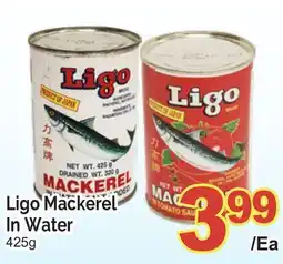 T&T Supermarket LIGO MACKEREL IN WATER, 425 g offer