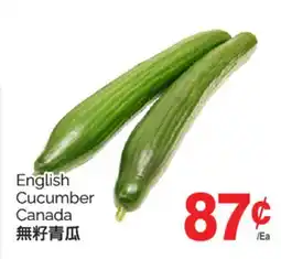T&T Supermarket ENGLISH CUCUMBER CANADA offer