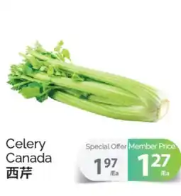 T&T Supermarket CELERY CANADA offer