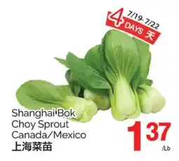 T&T Supermarket SHANGHAI BOK CHOY SPROUT offer