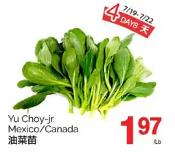 T&T Supermarket YU CHOY-JR MEXICO/CANADA offer
