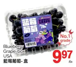 T&T Supermarket BLUEBERRY GRAPE - BOX offer