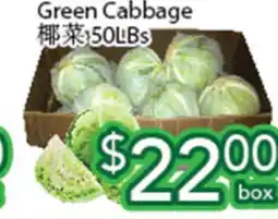Ample Food Market Green Cabbage offer