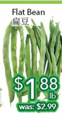Ample Food Market Flat Bean offer