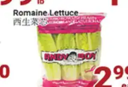 Oceans Fresh Food Market Romaine Lettuce offer