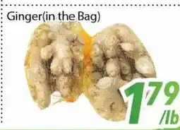 Bestco Food Mart Ginger (in the Bag) offer