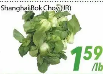 Bestco Food Mart Shanghai Bok Choy (JR) offer