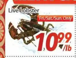 Bestco Food Mart Live Lobster offer