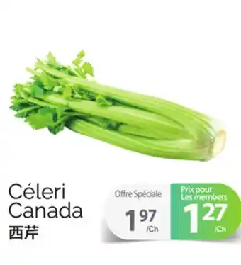 T&T Supermarket CÉLERI offer