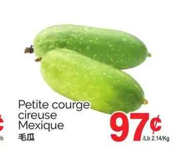 T&T Supermarket PETITE COURGE CIREUSE offer