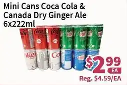 Blue Sky Supermarket Mini Cans Coca Cola & Canada Dry Ginger Ale 6x222ml offer