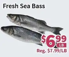 Blue Sky Supermarket Fresh Sea Bass offer