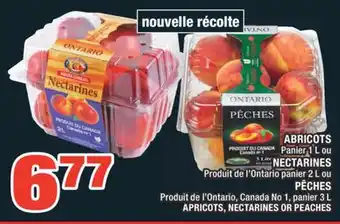 Super C ABRICOTS | APRICOTS offer