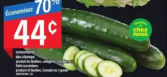 Maxi CONCOMBRES DES CHAMPS offer