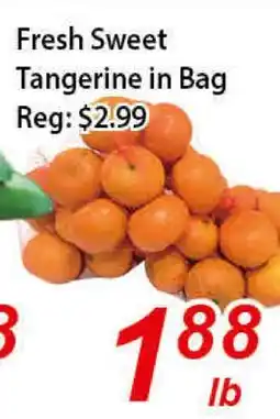 Seasons Foodmart Fresh Sweet Tangerine in Bag offer