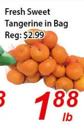 Seasons Foodmart Fresh Sweet Tangerine in Bag offer
