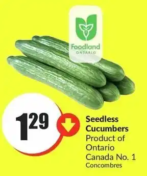 FreshCo Seedless Cucumbers offer