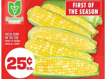 Metro FRESH CORN ON THE COB offer