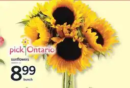 Fortinos SUNFLOWERS offer